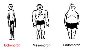 Body Weight